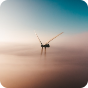 wind power