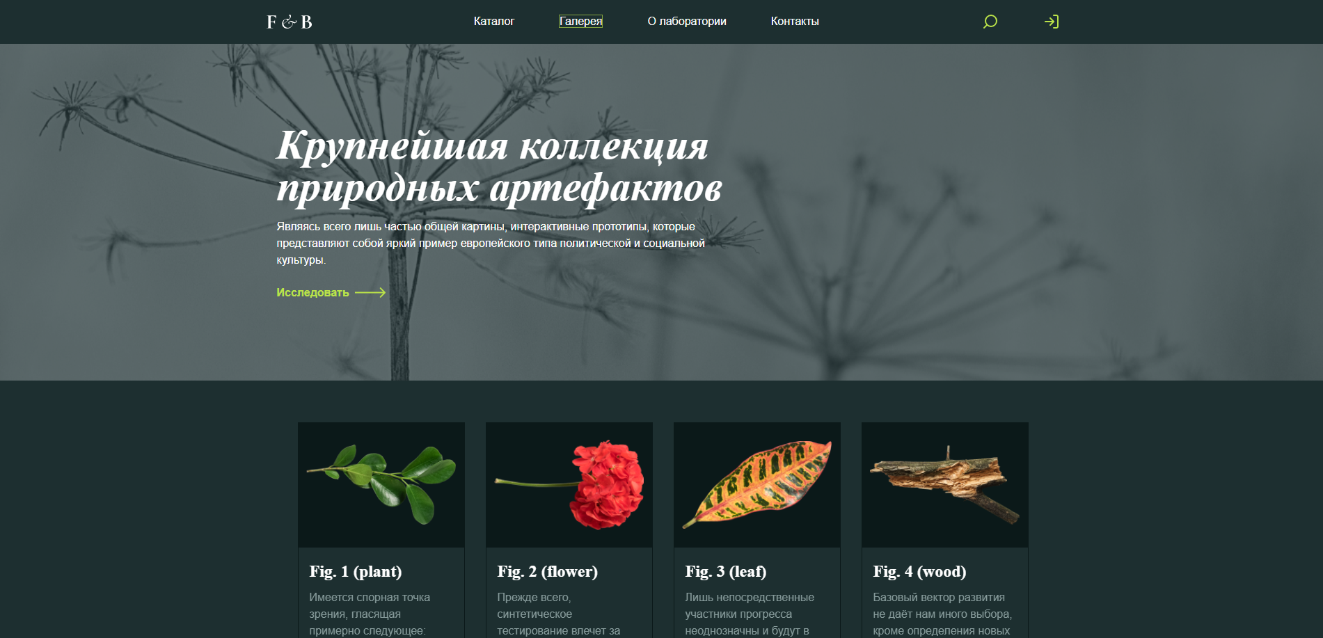 Страница сайта о природных артефактах