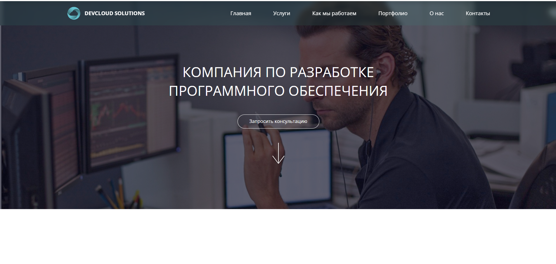 Страница сайта компании по разработке ПО